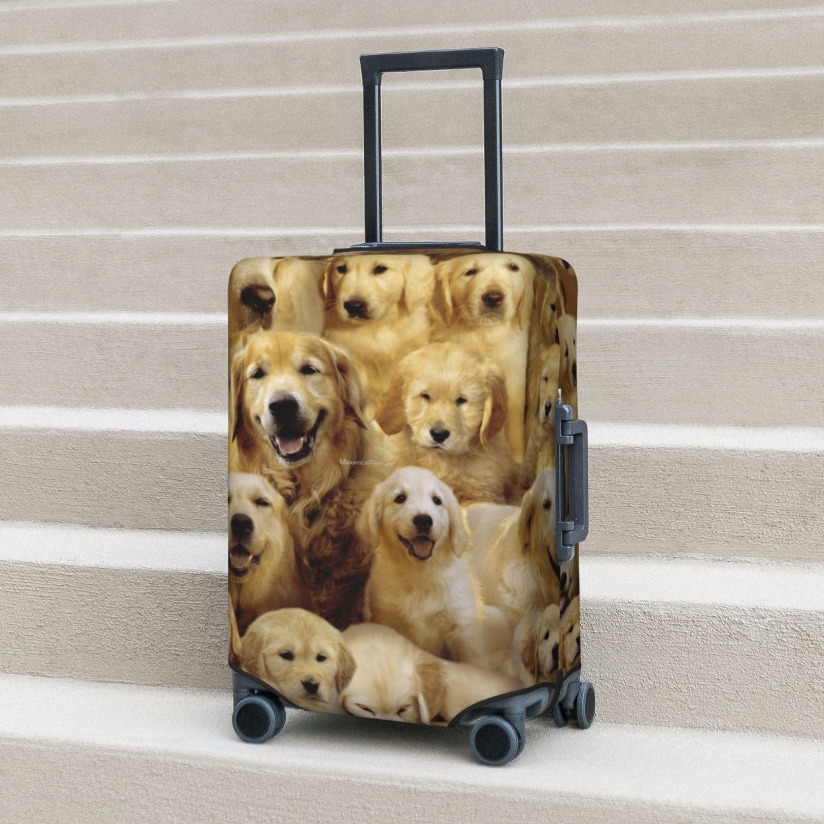 Golden Dog Suitcase Cover Anim - Travel Accessories To 3D Print ulasan dan harga