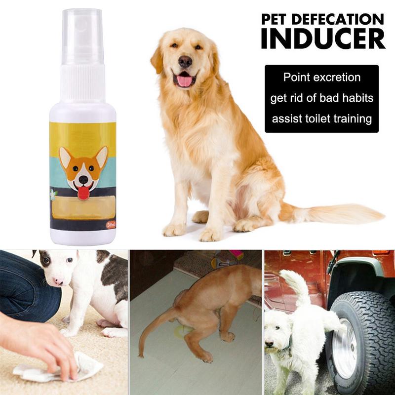 1PCS Dog Potty Train Spray Por - Travel Accessories In Train ulasan dan harga
