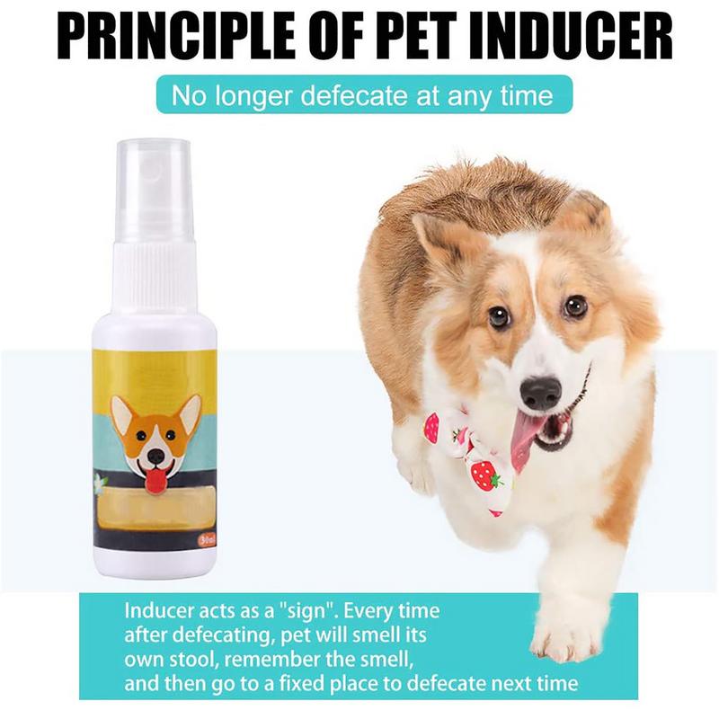 1PCS Dog Potty Train Spray Por - Travel Accessories In Train ulasan dan harga